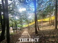 강진군, 성전면에 2.8ha 규모 '산림공원' 조성 완료
