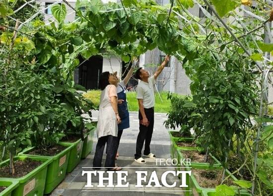 경기 양주시의 찾아가는 도시농업서비스를 통해 한 시설을 방문한 도시농업매니저와 관계자들이 식물을 살펴 보고 있다. /양주시