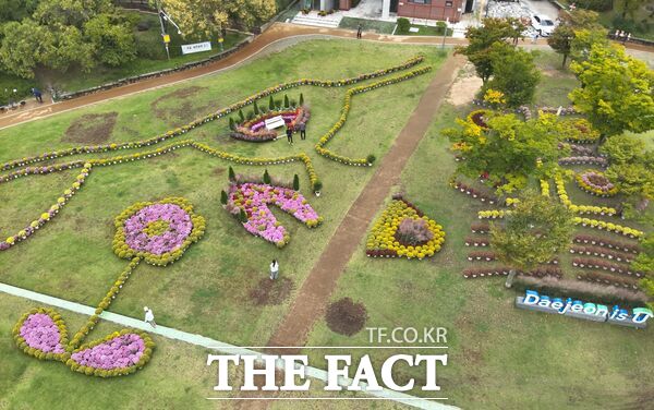 대전 중구는 19일 서대전광장 일대를 중심으로 가을을 대표하는 국화, 핑크뮬리 등을 배치해 가을꽃 정원을 조성했다. 서대전광장 전경. /대전 중구