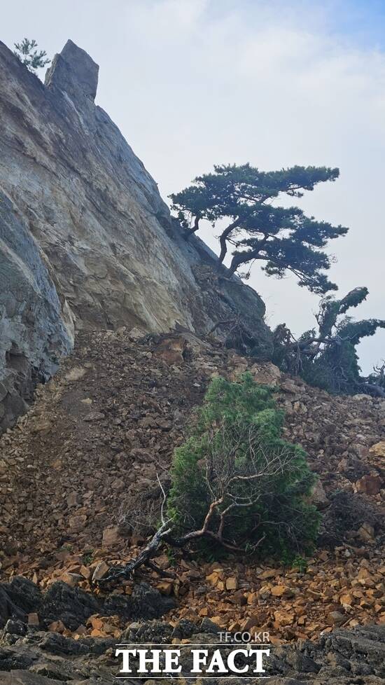 전국 3대 낙조 명소 중 한 곳인 태안 꽃지 할아비 할미 바위 중 무너져 내린 할아비 바위 모습. 소나무도 뽑혀 있다. /태안군
