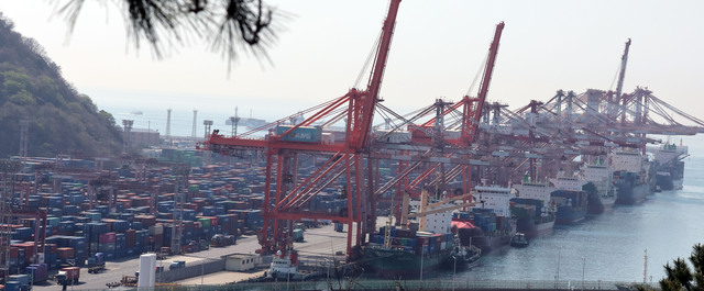 산업부는 20일 수출동향 점검회의를 열고 주요 품목별 수출 동향 및 리스크를 점검했다.부산항 모습. /뉴시스