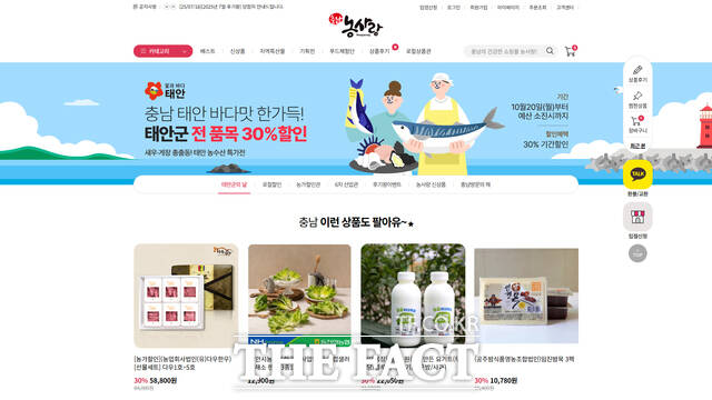 충남도 농특산물 농사랑 온라인 쇼핑몰 화면. /충남경제진흥원