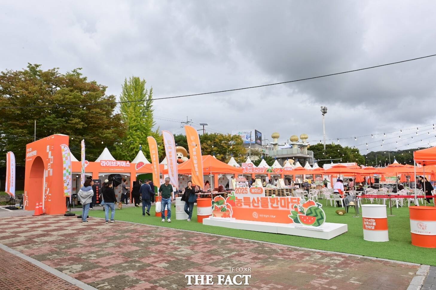 봉화송이축제장 농산물 판매장. /봉화군