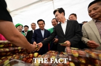  2025 연산대추문화축제, 3만 3000여 명 방문…웃음 속 성황