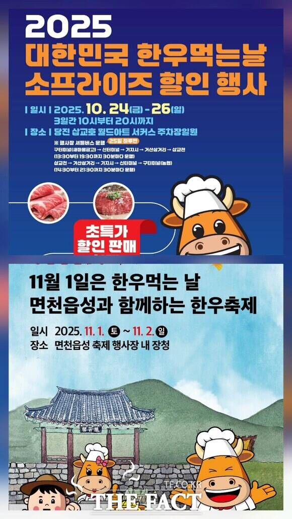 당진시 지역 축제 연계 한우 소비촉진 행사 포스터. /당진시