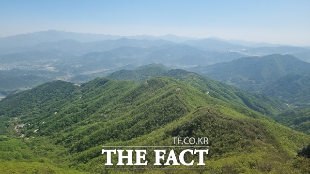 함양군이 지난 21일자로 총 3581ha의 소나무류 반출 금지구역을 해제했다. /함양군