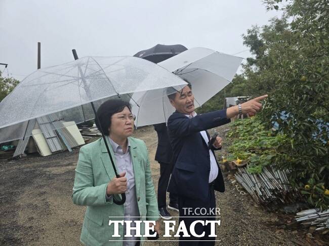 더불어민주당 김현(왼쪽) 국회의원이 지난 10일 안산장상지구를 둘러보고 있다. /김현 의원실