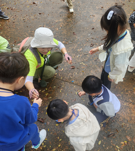 광주 북구가 유아 기후생태 놀이교실을 운영 중인 모습 /광주시