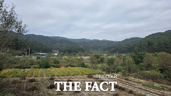 대청호 장미공원 조성 예정 부지 전경 /정예준 기자