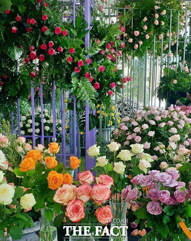 제12회 장미·국화 생생전시회. /경기도농업기술원