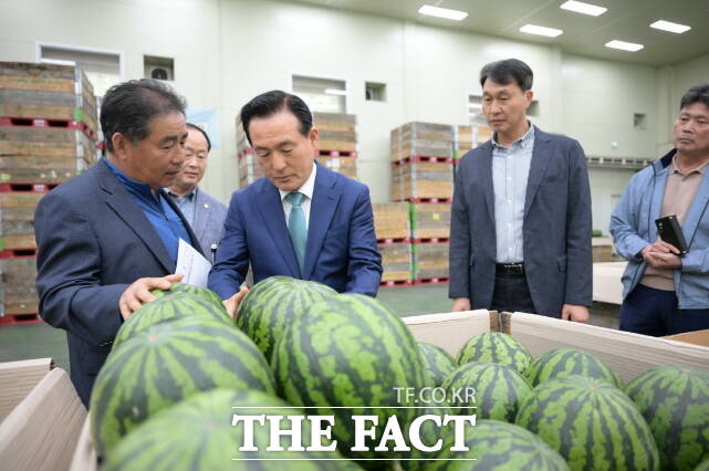 김종일 논산시수박연구회 대표(왼쪽)가 올해 수박 첫 출하 기념식에서 설명하고 있다. /논산시