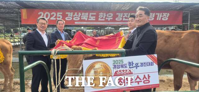 성주군은 지난 21일 영주 문정둔치에서 열린 2025 경북도 한우 경진대회에서 벽진면 여화연 한우 농가가 미경산우(7개월령 이하) 부문 1위, 성주읍 김창호 한우 농가가 암송아지 부문 3위를 차지하는 성과를 거뒀다. /성주군