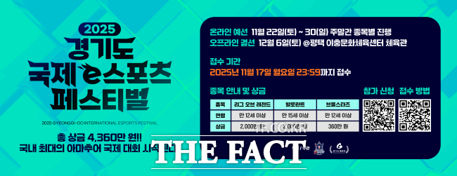 2025 국제 e스포츠 페스티벌 홍보물. /경기도체육회