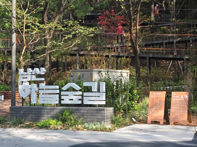 서울시는 오는 25일 서울 도심을 한눈에 조망할 수 있는 전망대와 정원 등 매력 포인트를 골고루 갖춘 남산 하늘숲길을 시민들에게 개방한다고 밝혔다. /서울시