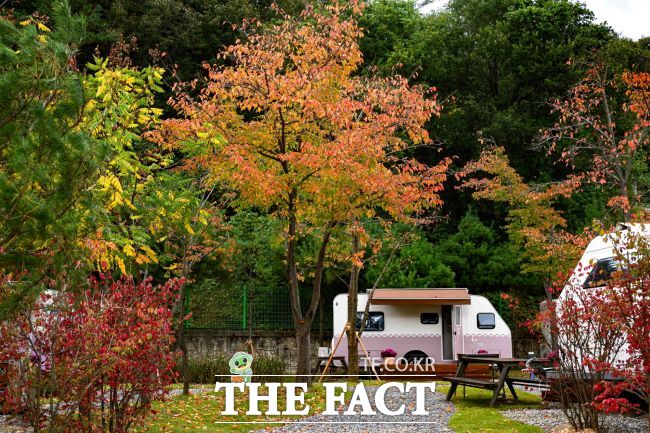 청량산 수원캠핑장 /수원시