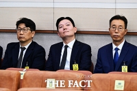  법사위 국감 출석한 박상용 법무연수원 교수 [포토]