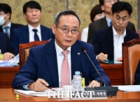  질의에 답변하는 서태건 게임물관리위원장 [포토]