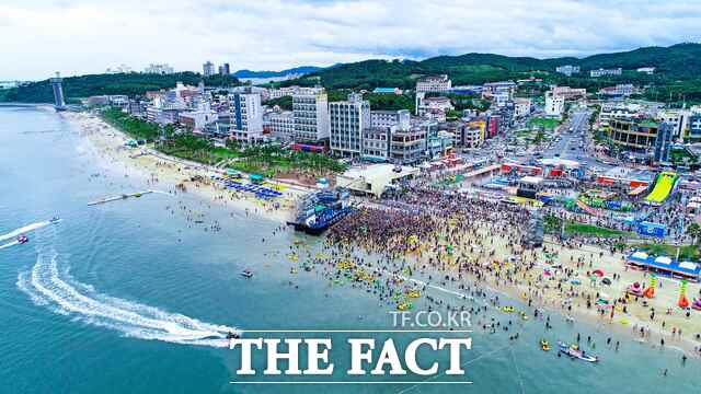 보령시 대천해수욕장 전경. /보령시