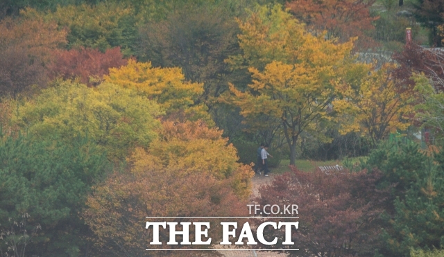 KB국민카드가 가을을 맞아 명산 인근 상권 소비 패턴을 분석했다. /이동률 기자