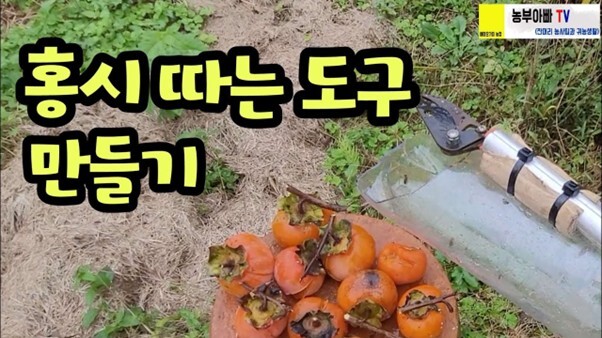 구독자 8만 명을 보유한 농부아빠TV는 작물 재배법과 농사 도구 제작 과정을 다루며 실용적인 귀농 정보를 제공한다. /유튜브 채널 농부아빠TV 영상 캡쳐