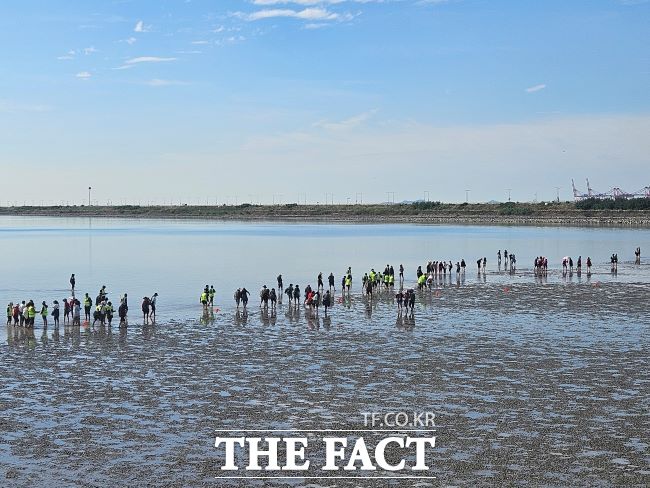 ‘2025 시화호 갯벌 맨발걷기 페스타’ 진행 모습. /시흥시