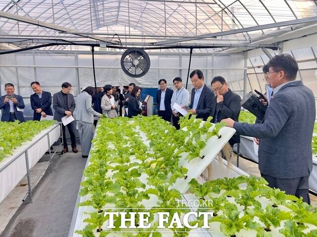 충남농업기술원을 비롯한 대전·세종시와 도내 시군 농촌진흥기관 관계자 40여 명이 23일 당진시 스마트팜을 현장 방문했다. /당진시