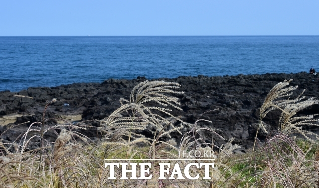 기후에너지환경부는 24일 전력거래소 제주본부에서 2035 제주 탄소중립 협의체 발족식을 개최했다. 사진은 제주시 용담3동 일해 해안로. / 더팩트 DB