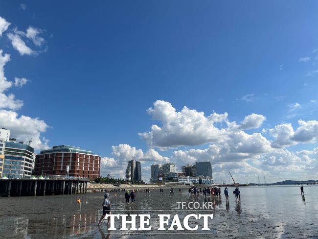 ‘2025 시화호 갯벌 맨발걷기 페스타’ 진행 모습. /시흥시