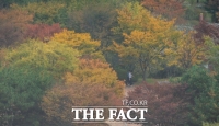  가을 단풍철, 내장산·주왕산 상권 '활짝'…매출 최대 2.4배 급증