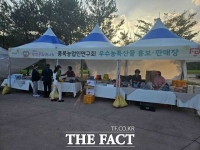  당진 국화전시회서 충남 농특산물 홍보판촉전 운영