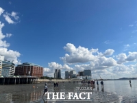  하늘-바다-갯벌-사람 이어준 '시화호 갯벌 맨발걷기' [TF사진관]