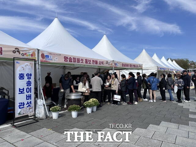 지난해 열린 양송이·표고버섯 축제 현장 모습. /부여군