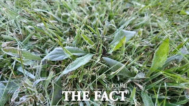 서울의 얼음은 지난해보다 10일, 평년보다 6일 빠른 기록이다. 서리는 지난해보다 9일 빠르고, 평년과 같은 수준이다. /기상청