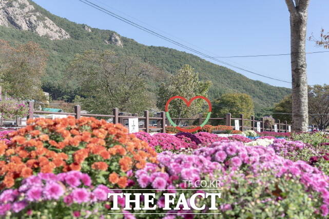 계룡산 국화 길 여행 축제가 열리는 계룡산 동학사 일원 전경. /공주시