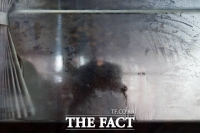  '초겨울 출근길' 일교차 15도...'감기 조심하세요!' [TF사진관]