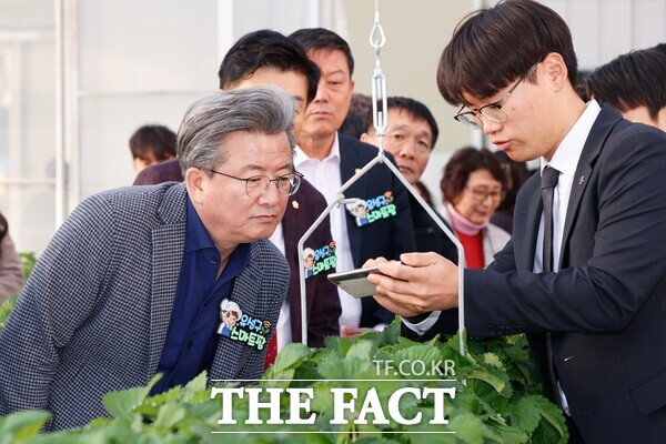 지난 28일 진행된 유성구 스마트팜 개장식에서 정용래 유성구청장이 스마트팜 기술 시연을 확인하고 있다. /대전 유성구