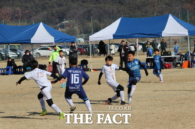 지난해 열린 굿뜨래 전국 유소년 축구대회 장면. /부여군