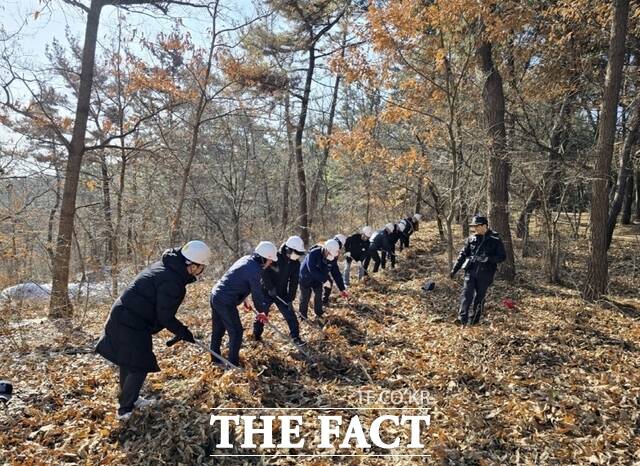 태안군 산불전문예방진화대가 산불 방화선 구축 훈련을 하고 있다. /태안군