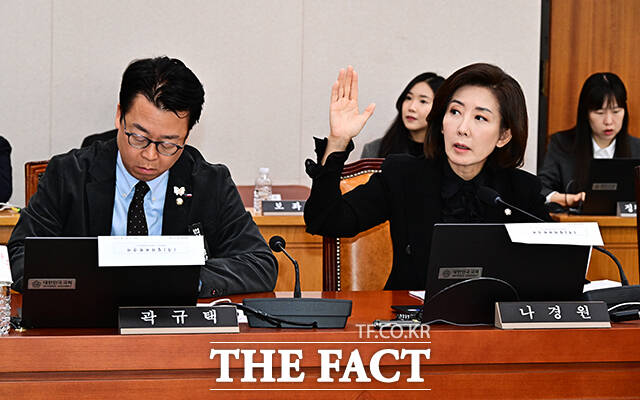 발언권 신청하는 나경원 국민의힘 의원(오른쪽).