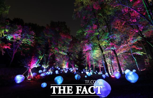 형형색색의 복사꽃 씨앗이 빛나는 도화씨 구간 전경. /부천시