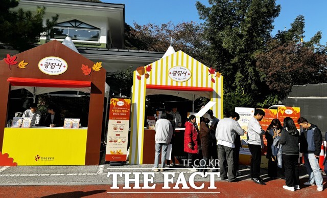 대한민국 대표 가을 명소인 정읍 내장산국립공원이 31일부터 인공지능(AI) 기반 관광 혁신 서비스 광집사(관광 현장의 불편을 해결해 주는 AI 집사)를 선보인다. /정읍시