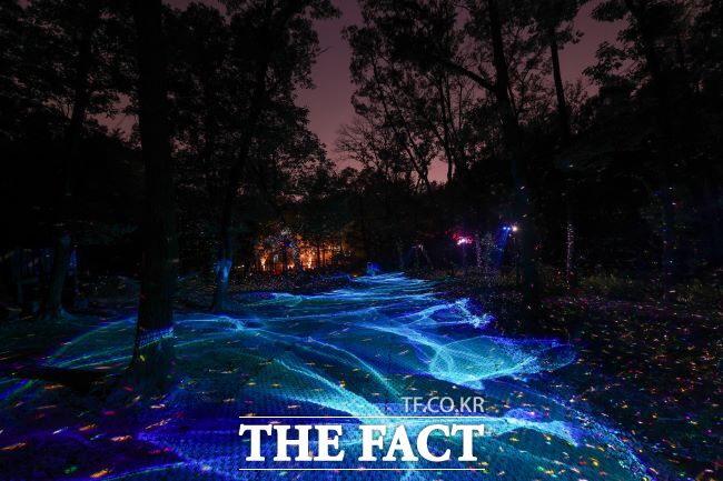 숲길을 따라 반짝이는 별빛이 수놓는 은하수 구간 전경. /부천시