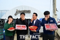  논산시, 딸기 신품종 ‘조이베리’ 첫 수확