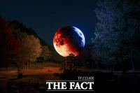  '빛이 그리는 무릉도원의 밤'…부천자연생태공원 '루미나래' 개장