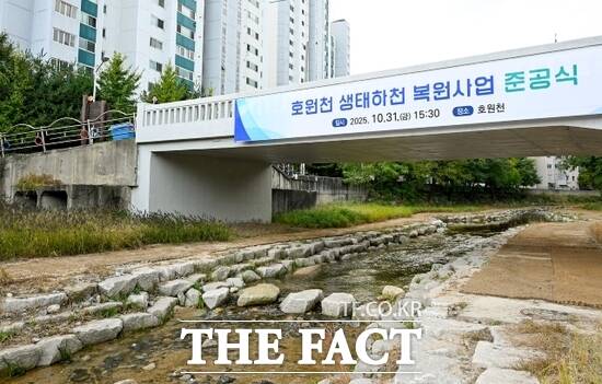 6년 만에 맑은 물이 흐르는 생태하천으로 재탄생하고 시민들 곁으로 다시 다가온 경기 의정부시 호원천의 모습. /의정부시