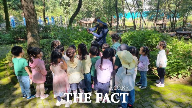 유아숲체험 프로그램 진행 모습. /안양시