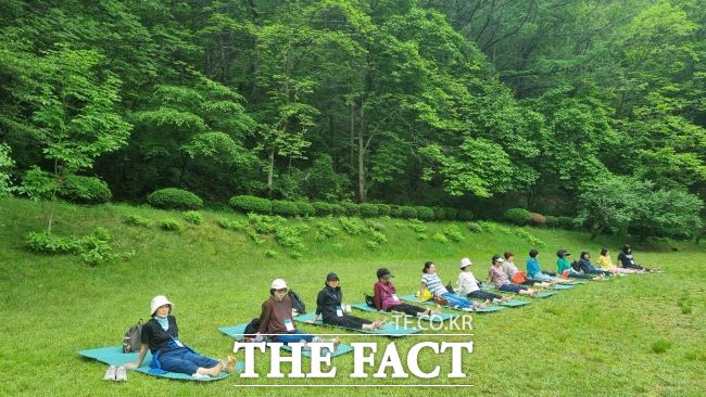 산림치유 프로그램 진행 모습. /안양시