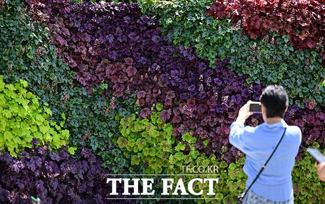 2025 서울국제정원박람회 개막 첫 날인 5월 22일 오후 서울 동작구 보라매공원에서 한 시민이 식물을 이용한 공기정화 장치 바이오월 허니를 찍고 있다./남윤호 기자