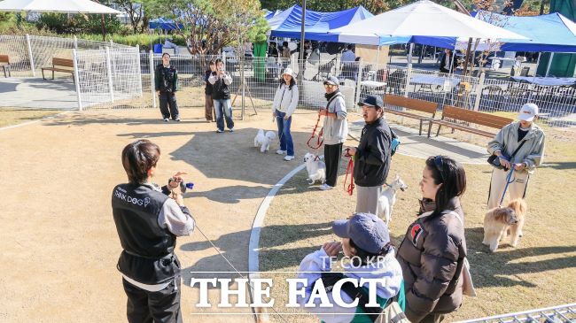 ‘과천시 댕댕이 시민학교’ 진행 모습. /과천시