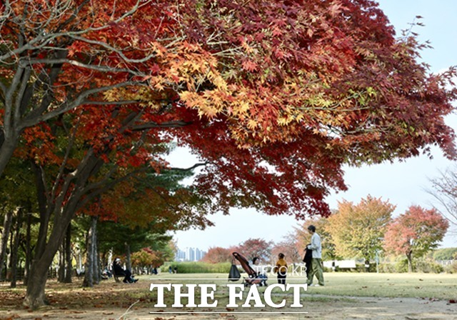 단풍이 가득한 미사경정공원을 찾은 가족이 가을을 만끽하고 있다./국민체육진흥공단
